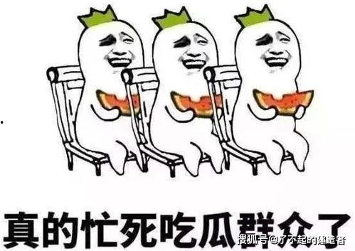 娱乐吃瓜酱想哄你的人,娱乐吃瓜酱的甜蜜哄你人生攻略