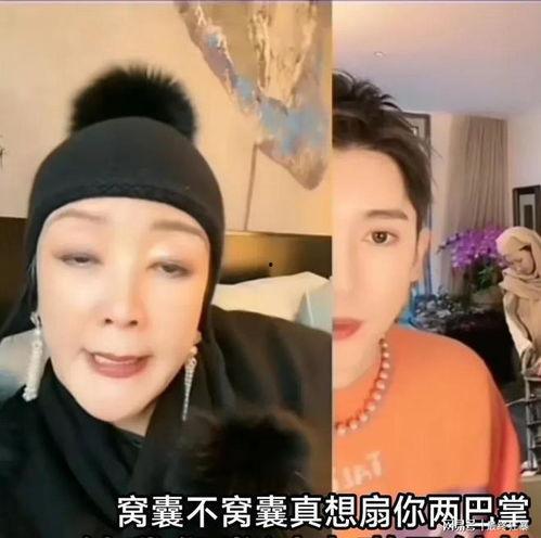 张兰爆料三胎视频播放,揭秘豪门育儿日常 第1张 张兰爆料三胎视频播放,揭秘豪门育儿日常 第1张